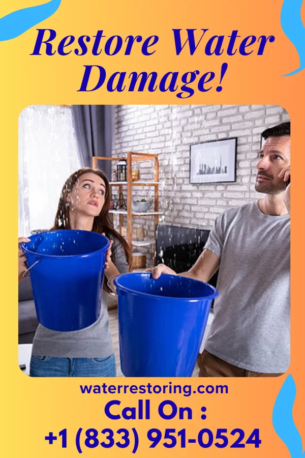 water restoration Ace Water Mitigation LLC Wanatah