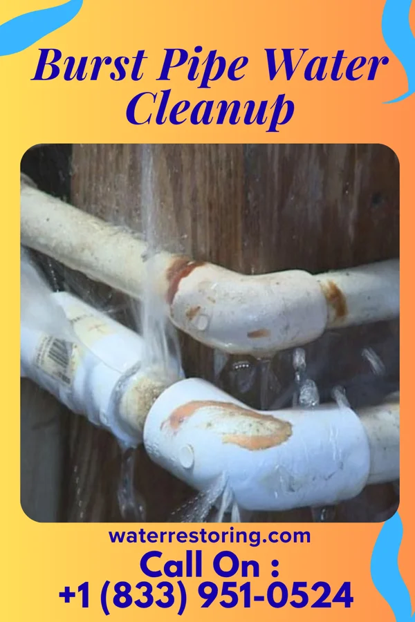Burst Pipe Water Cleanup in Wanatah, IN