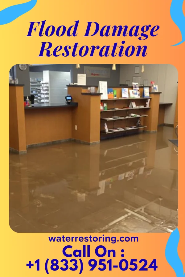 Flood Damage Restoration in Wanatah, IN