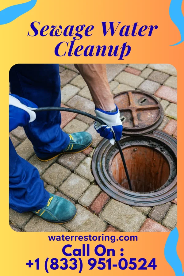 Sewage Water Cleanup in Wanatah, IN